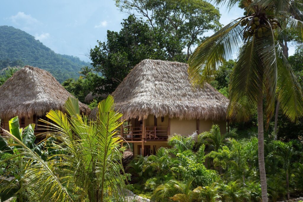 Senda Koguiwa