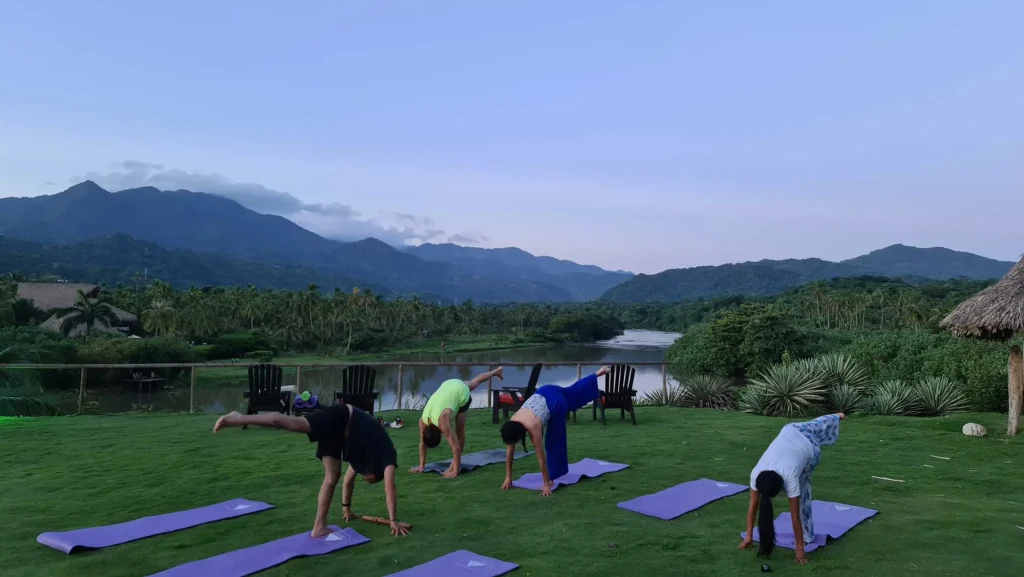yoga senda galeria jpg