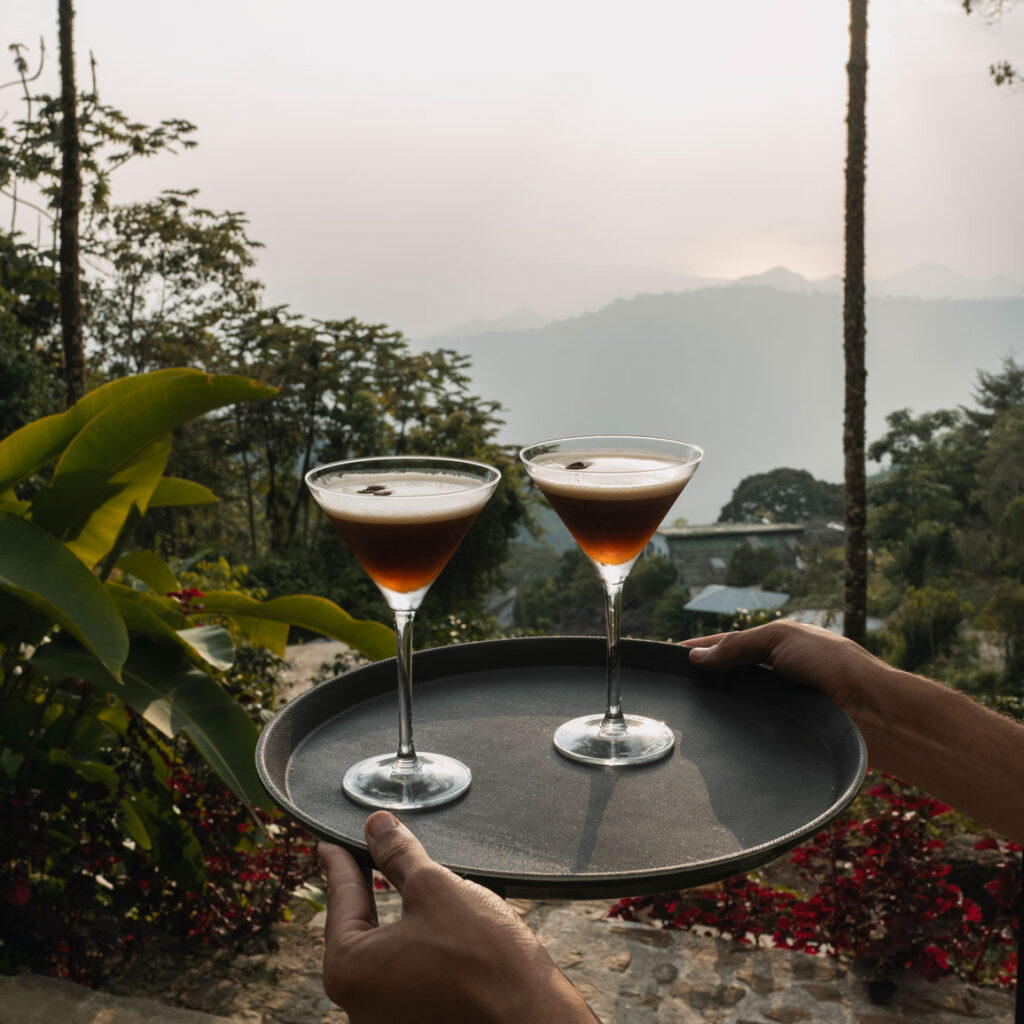 bebidas frente al paisaje senda terramia