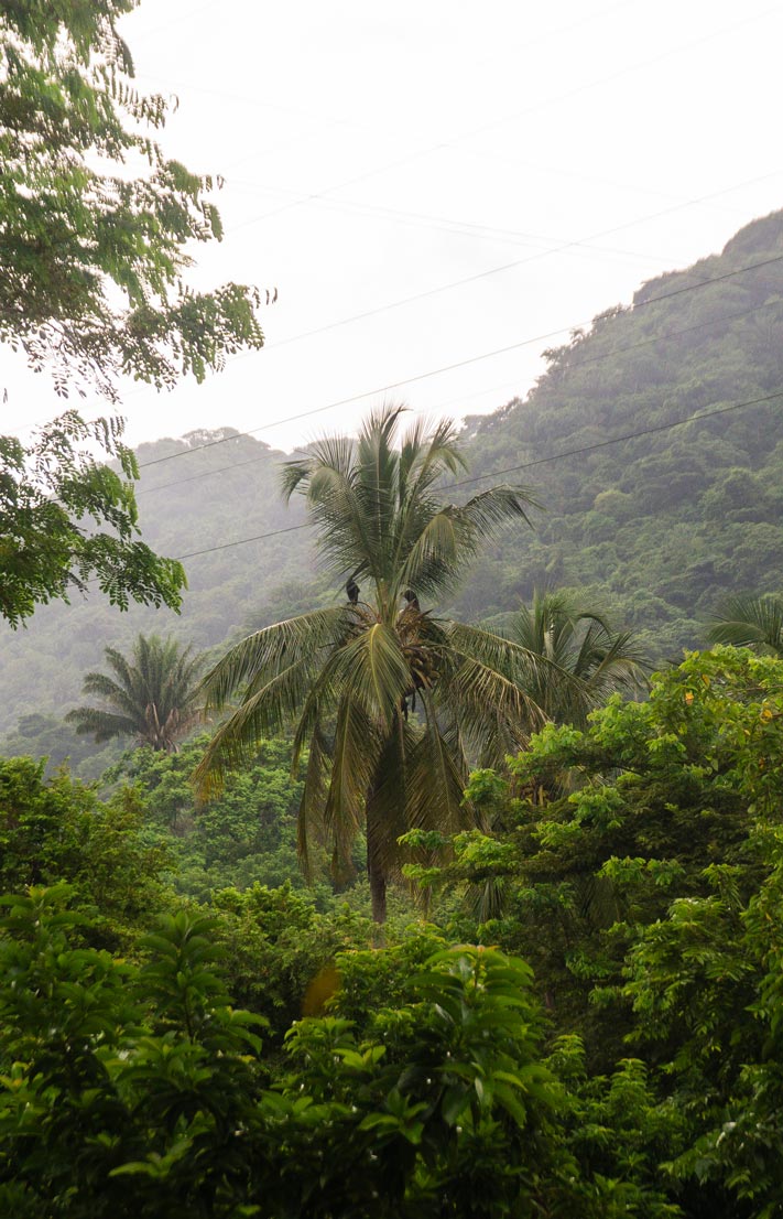 Palm trees and green mountains surrounding Senda Koguiwa