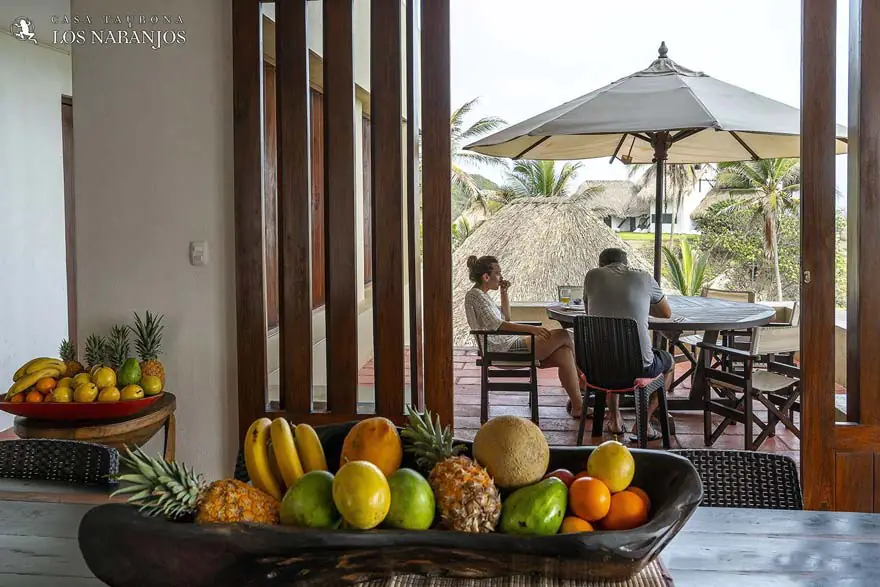 senda-casa-tayrona-sala-con-vista-a-la-terraza