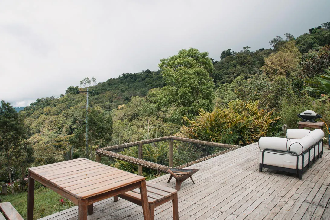 nido tucan vista lateral derecha